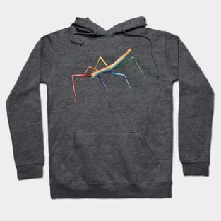 Rainbow Stick Bug Hoodie